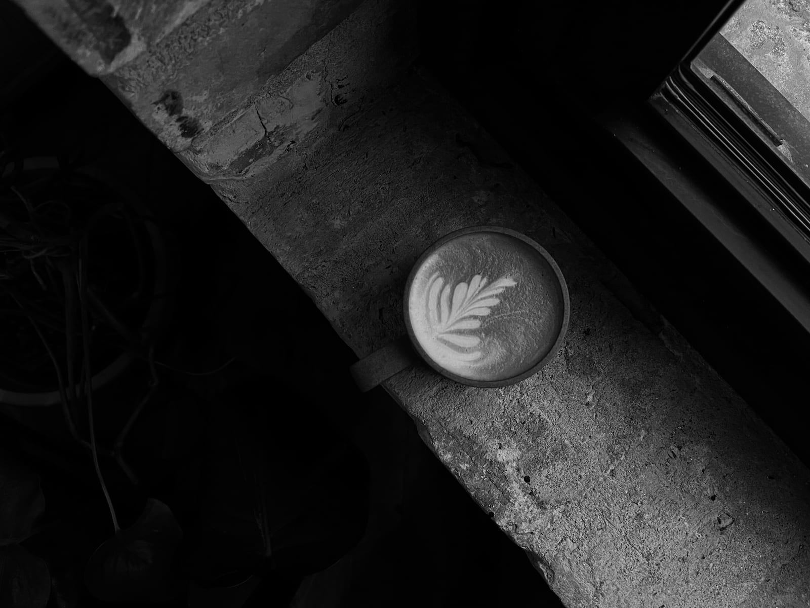 Photo by LUFANG CAO on Unsplash